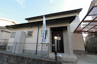 IMG_8740.jpg